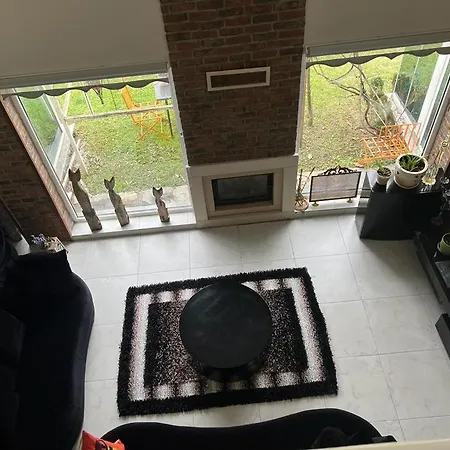 Kartepe'nin Kalbinde Dogayla Ic Ice Harika Bir فيلة *
